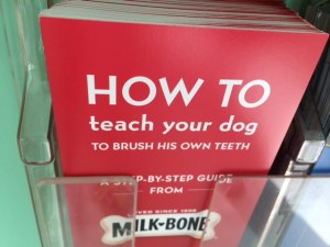 How to Teach Your Dog